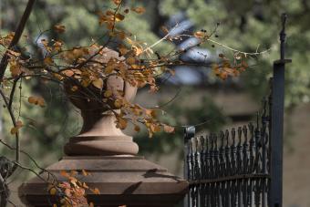 Littlefield-Home-architectural-detail-2021-Dec.-4-67650.jpg